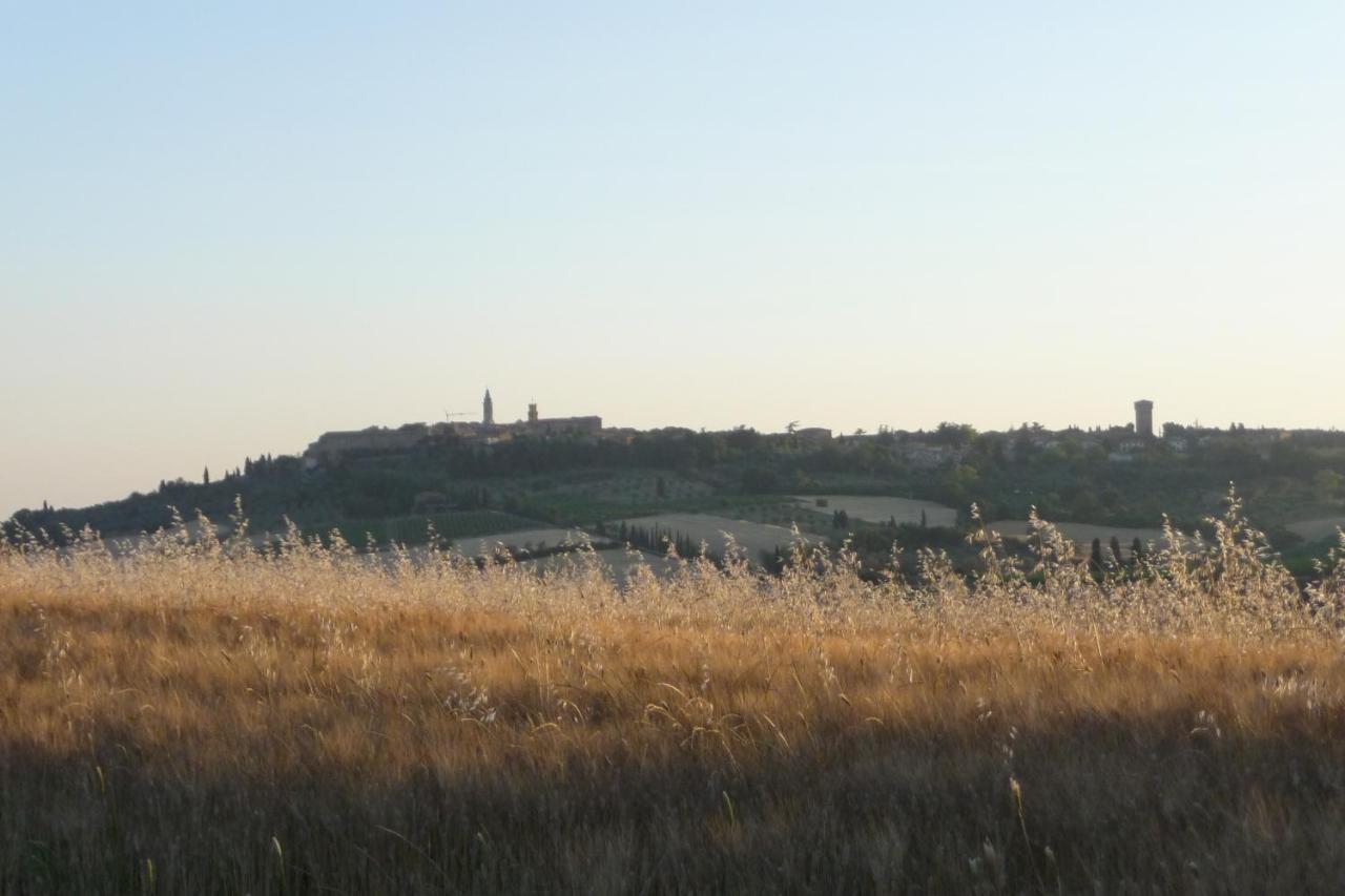 Poggio Ai Gelsi Villa ปีเอนซา ภายนอก รูปภาพ